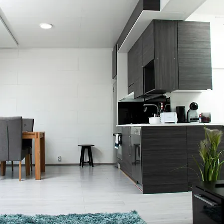 Talo Saunalla Ja Saehkoeauton Oma Type2 Latauspiste *