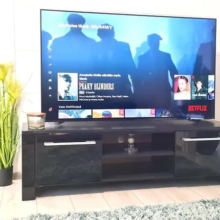 Talo Saunalla Ja Saehkoeauton Oma Type2 Latauspiste Willa Vantaa